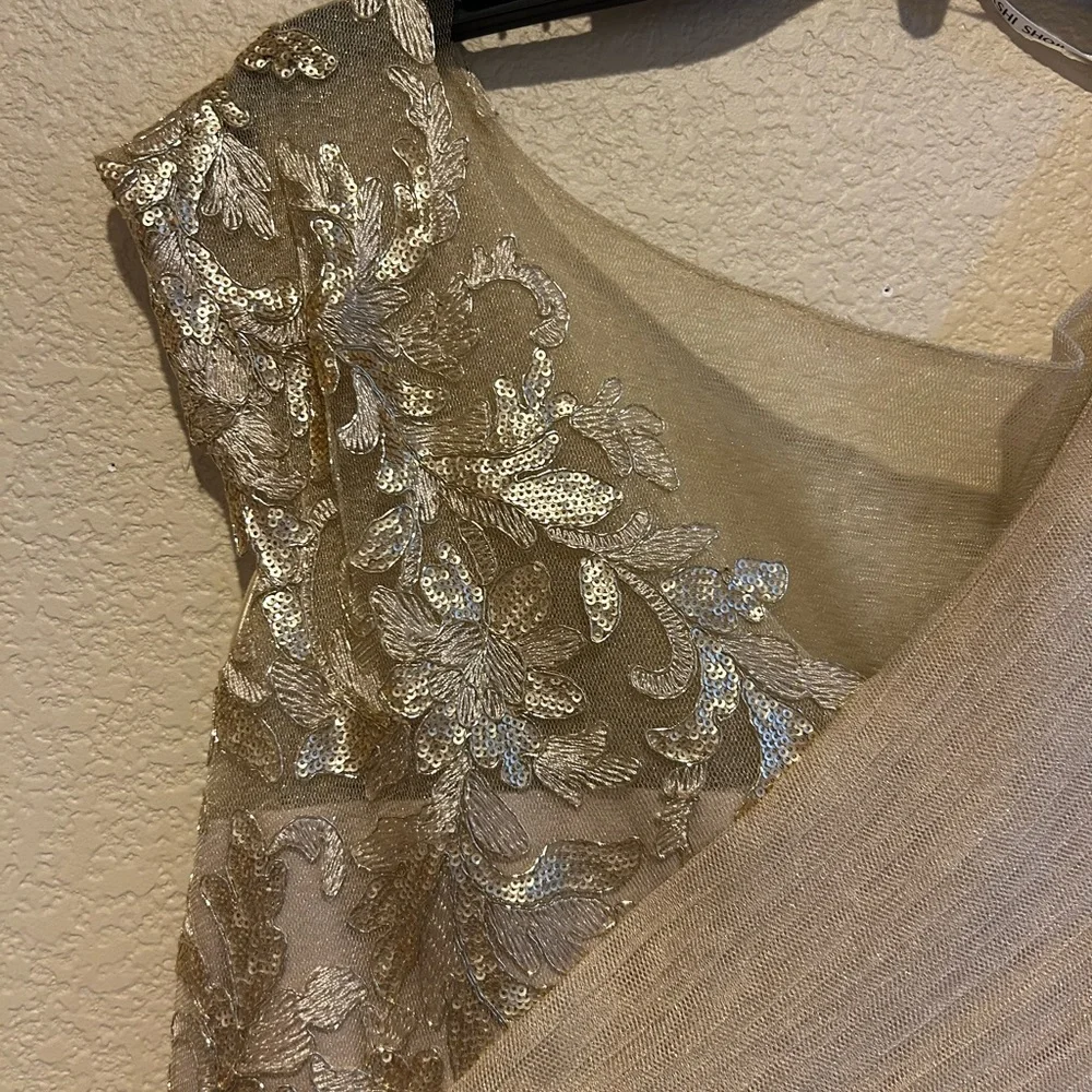 Tadashi Shoji Gold One Shoulder Pleated Gown - Picture 4 of 8